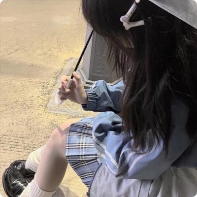 银色之翼